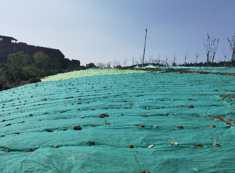 景观绿化工程之栽植工程，草籽播撒技术交底