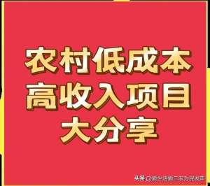 冰菜的种植方法视频(目前农村有哪些低成本高收入项目？这几个就很不错，建议收藏)