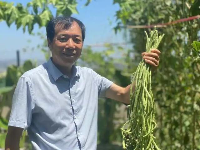 “天台种菜”引热议，众多网友想效仿：我家能种吗