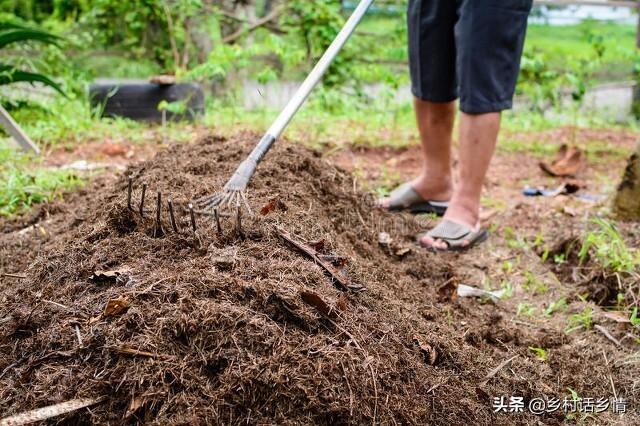 无论种植哪一种蔬菜，老农教你三个看家本领，种啥都长得好