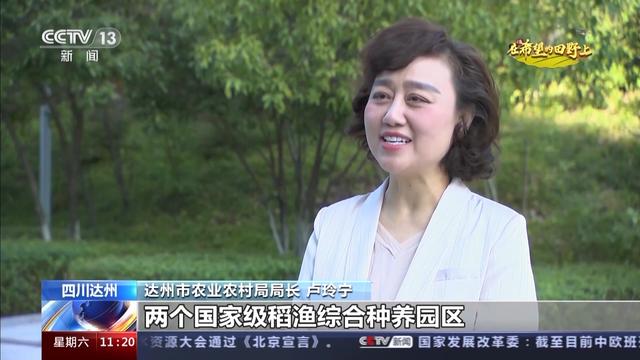 千里沃野筑粮仓 四川主产区迎丰收