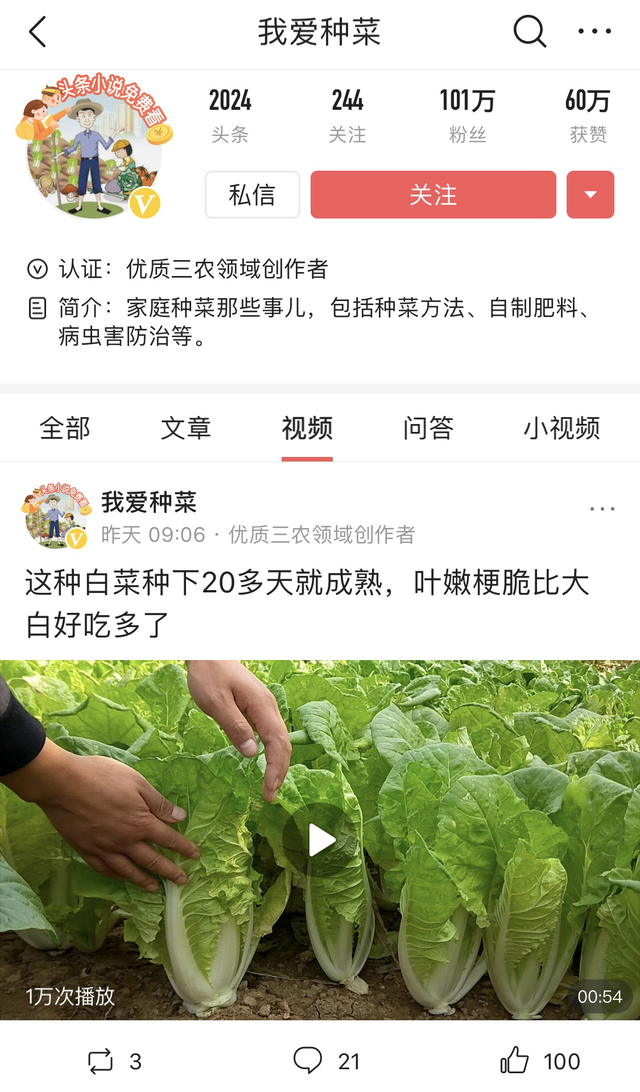 河北70后教全球100万网友种菜，有个阳台就能吃上绿色蔬果