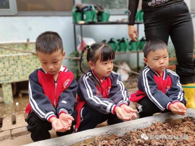 秋风起，秋种起——诺亚舟和庄幼儿园秋季种植活动之播种篇