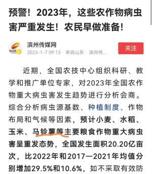 水膜种植是什么(别大意2023年，2500万亩马铃薯将面临晚疫病威胁，防治方法来了)