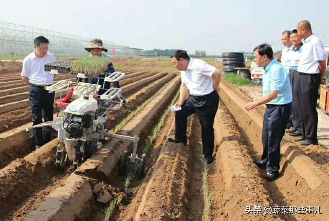 大葱种植用工少、效率高！看安丘大葱如何实现全程机械化生产