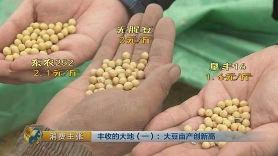 大豆里的“新商机”：改种新品种大豆 农户百亩地多赚数万块