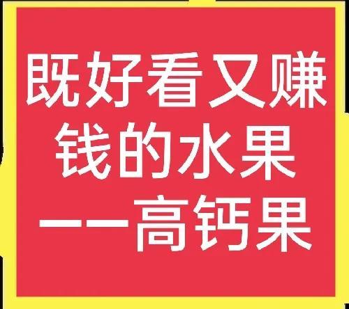 亩产3000斤，卖价10元一斤，曾被用作贡品的钙果，种植前景如何？