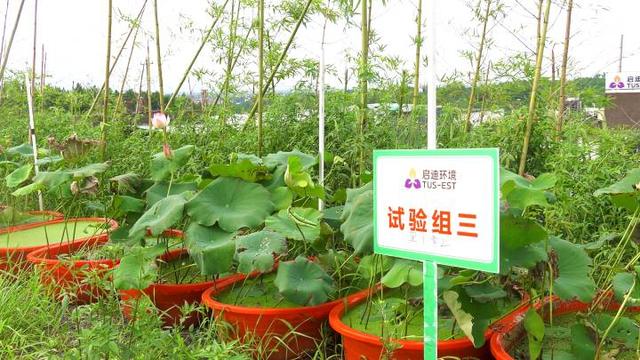 “变废为宝”有妙招 金华每天上百吨餐厨垃圾被这样“吃掉”