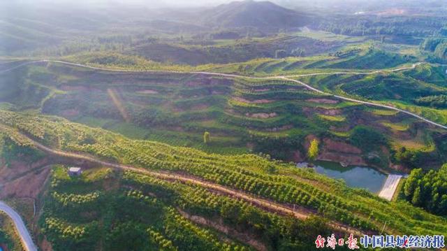 河南南召县崔庄乡：中药材种植成为山区群众“致富宝”