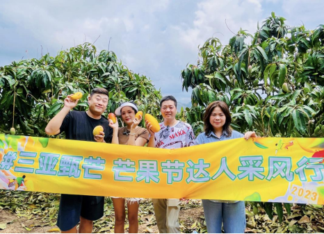 “三亚甄芒”达人采风行走进三亚芒果园，又香又甜的芒果惹人爱