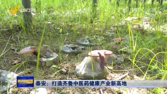 泰安：打造齐鲁中医药健康产业新高地