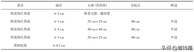 海红果栽植管护技术及效益分析