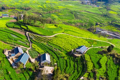 美国农场淘汰除草剂，采用机器人激光除草技术，中国是否值得效仿