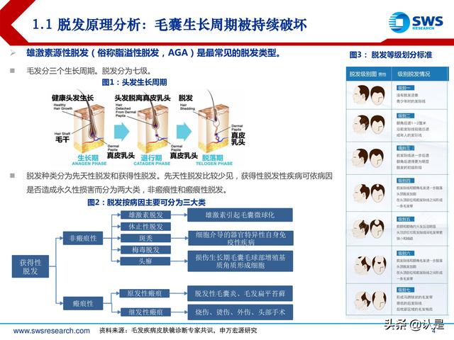 植发行业深度专题报告：确定性与成长性兼具，植发行业发展正当时