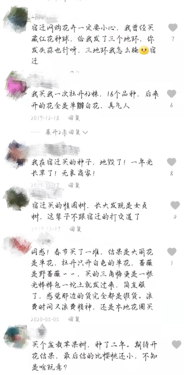 买郁金香种子收到洋葱球，熏得眼泪流下来！大量网友被骗，新法规来了