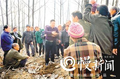 他种出了中国乌天麻半壁江山