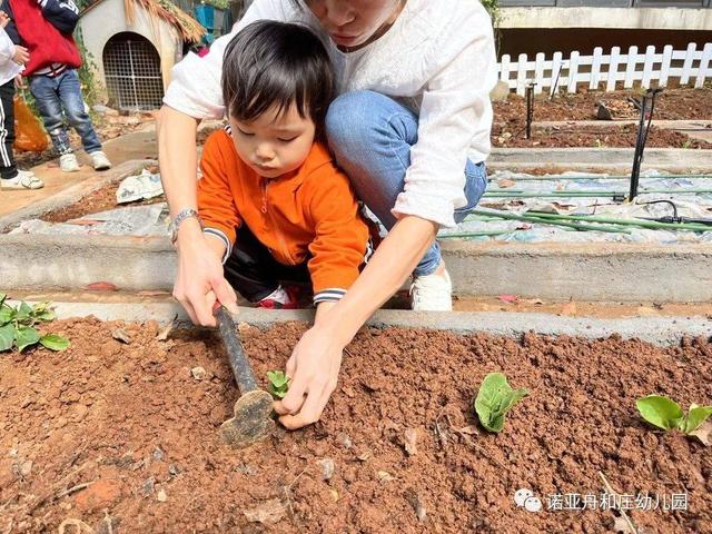 秋风起，秋种起——诺亚舟和庄幼儿园秋季种植活动之播种篇