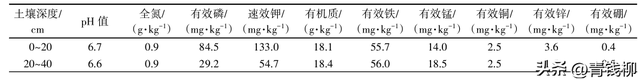 黑皇葡萄在海宁市的引种表现与栽培技术