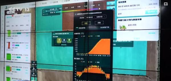 一棵甜菜的“变”糖之链 “数字大田”助力“甜蜜”丰收