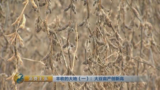 大豆里的“新商机”：改种新品种大豆 农户百亩地多赚数万块