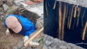 麻山药种植技术视频(在20多平地窖种山药，根根笔直光滑不粘泥，新技术得推广)