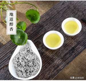 甜茶叶种植(湘西莓茶高质量扦插栽培技术大揭秘)