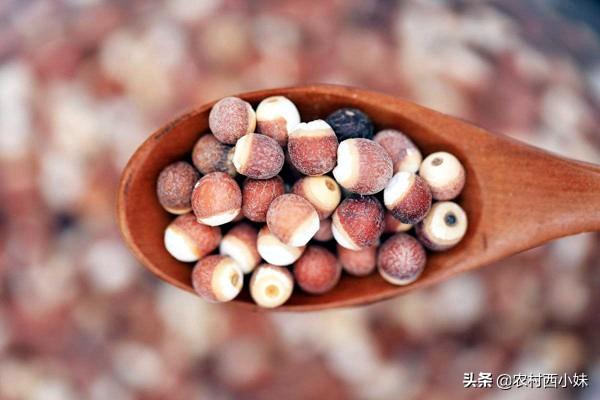 芡实怎么种植？芡实的种植方法介绍