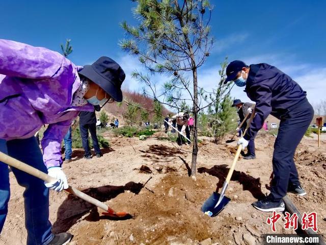 青海掀起春季义务植树高潮 今年计划义务植树1500万株