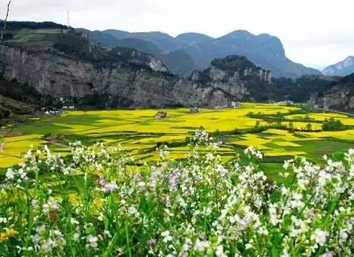 如何避免乡村旅游规划设计同质化