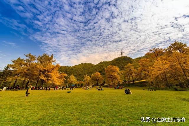 【印象双牌】振翅腾飞配套风景旅游区：茶林镇