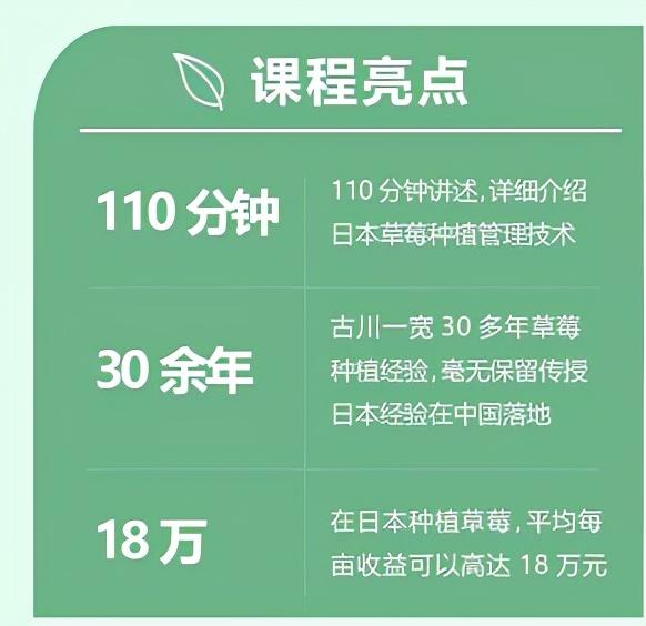 日本草莓为什么做得成功？这份课程值得草莓产业者学习