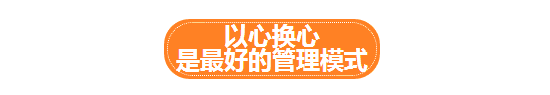 走进褚橙基地，探寻褚橙从600亩到40000亩品质如一的秘密！