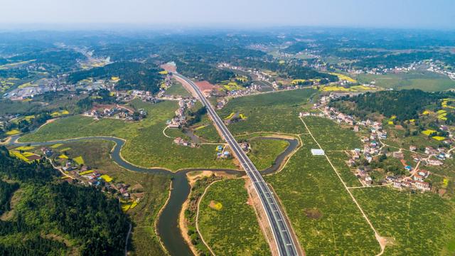 四川安岳，世界柠檬发展大会的举办地，被誉为“中国柠檬之乡”