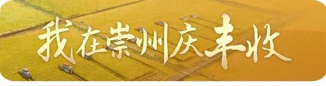 丰富“菜篮子” 充实“钱袋子” 崇州这里蔬菜年产值近3亿元！