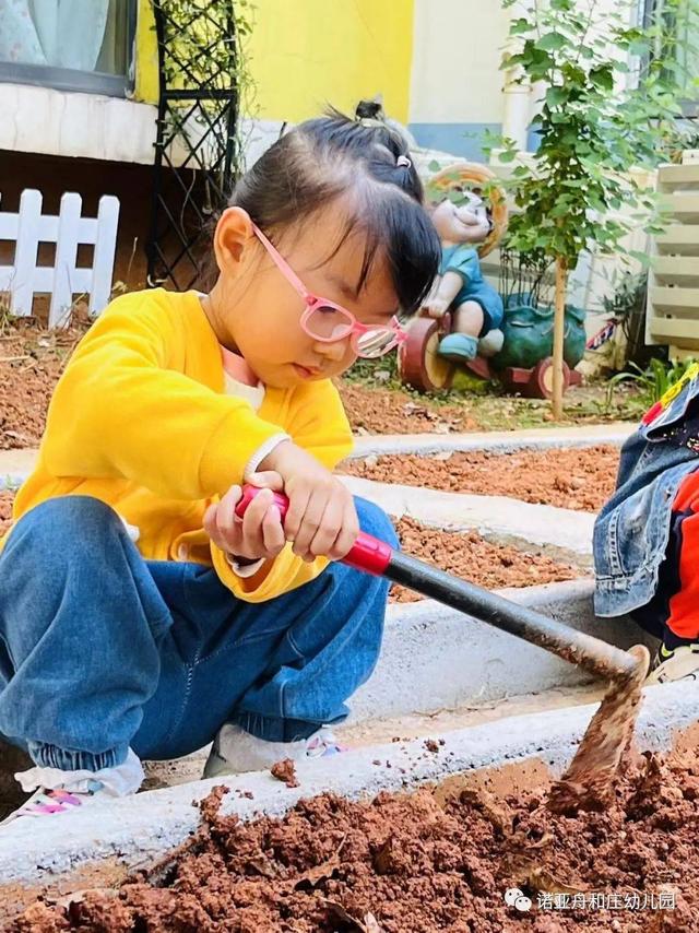 秋风起，秋种起——诺亚舟和庄幼儿园秋季种植活动之播种篇