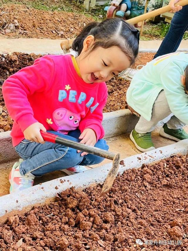 秋风起，秋种起——诺亚舟和庄幼儿园秋季种植活动之播种篇