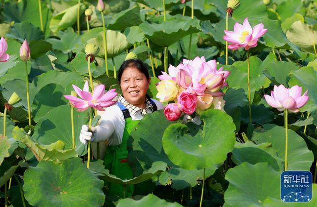 荷花宫样美人妆，荷叶临风翠作裳