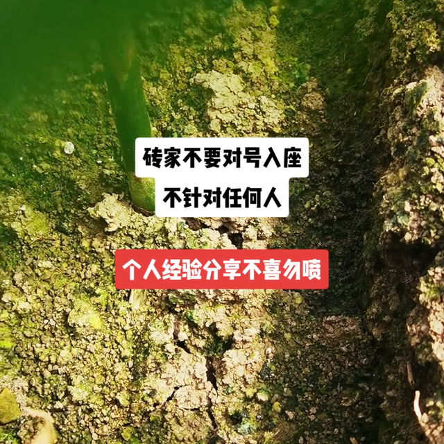 生姜种植小经验分享