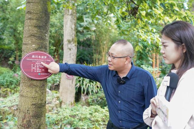 当“神农”识“百草”，植物学家带孩子们探秘“中药材库”