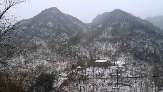 他在京都山里修筑庭院，种菜烧饭，山居滋味究竟哪般？