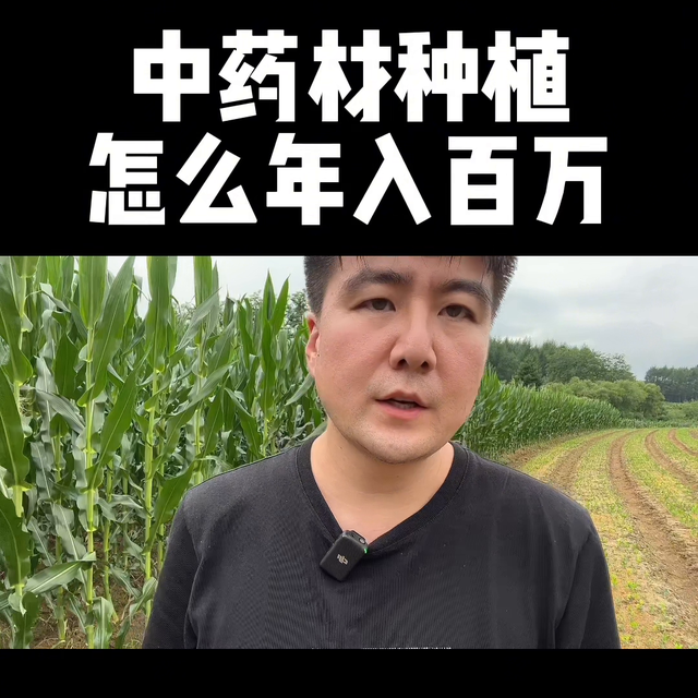 中药材种植怎么年入百万#新农人计划2023