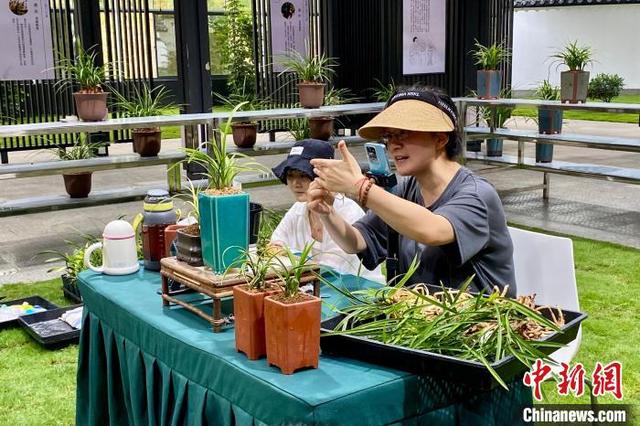 探访“国兰祖地”浙江棠棣村：以花闻名、以花致富