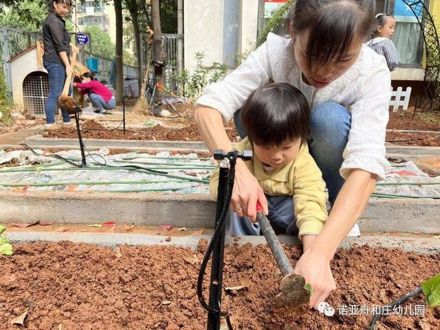 秋风起，秋种起——诺亚舟和庄幼儿园秋季种植活动之播种篇