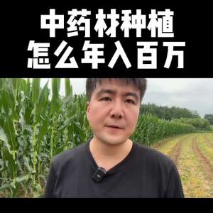 中药材种植标准(中药材种植怎么年入百万#新农人计划2023)