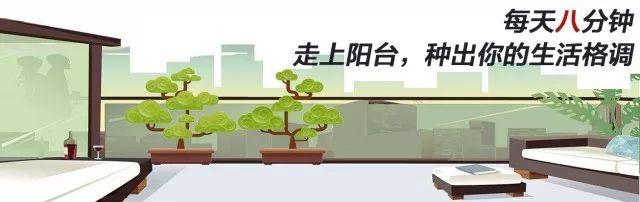 从阳台类型到朝向，从面积到楼层，收藏它就等于收藏阳台种植大全