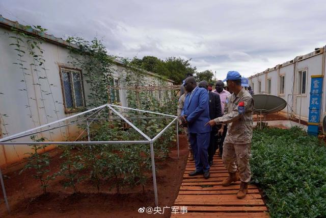 传统技能！中国蓝盔传授蔬菜种植技术