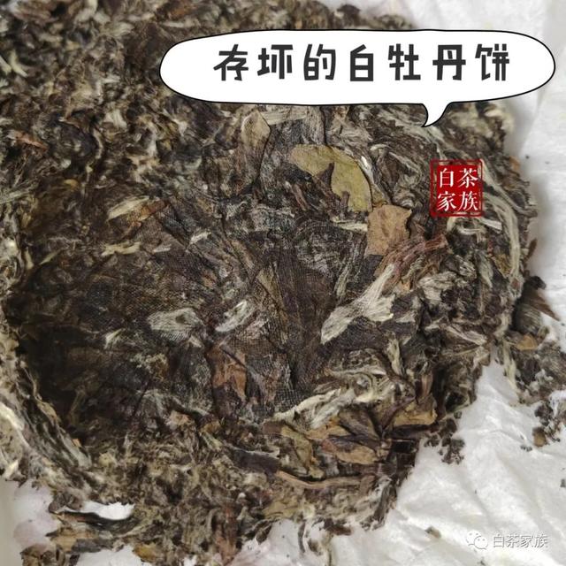 同样叫“白茶”，安吉白茶存三年成“草”，福鼎白茶却越来越贵？