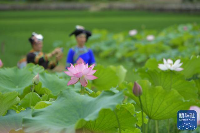 荷花宫样美人妆，荷叶临风翠作裳