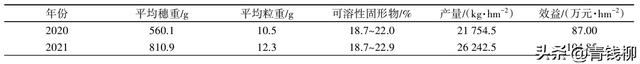 黑皇葡萄在海宁市的引种表现与栽培技术