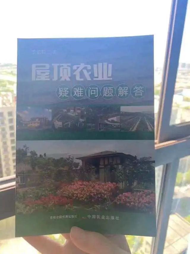 “天台种菜”引热议，众多网友想效仿：我家能种吗